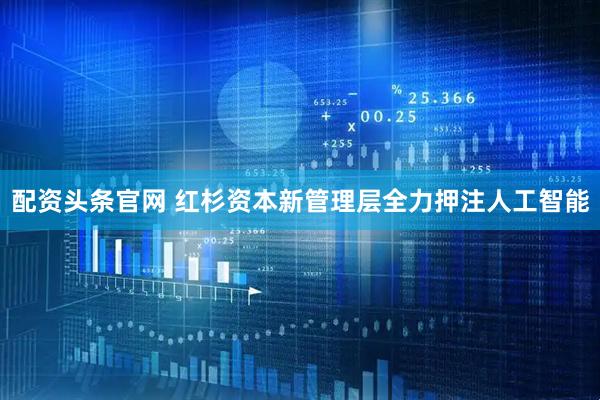 配资头条官网 红杉资本新管理层全力押注人工智能